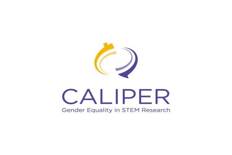 CALIPER Questionnaire