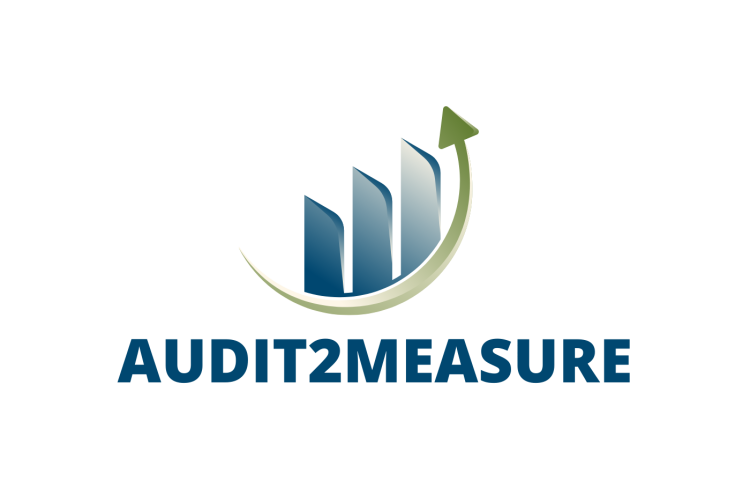 Audit 2 Measure