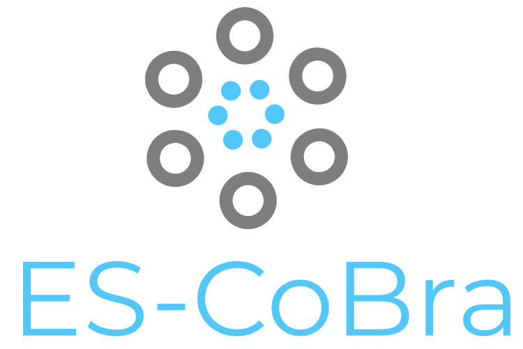 MES-CoBraD logo