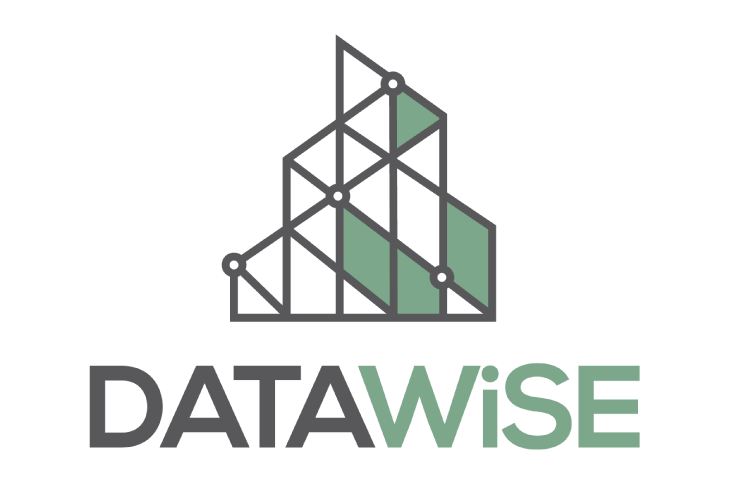 DATAWiSE Logo